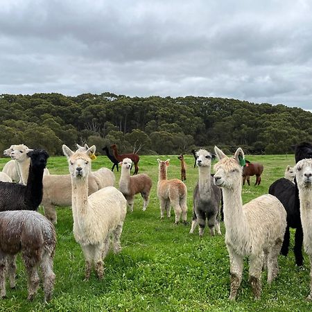 Twelve Apostles Motel & Country Retreat Princetown Luaran gambar