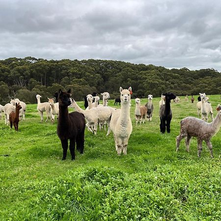 Twelve Apostles Motel & Country Retreat Princetown Luaran gambar
